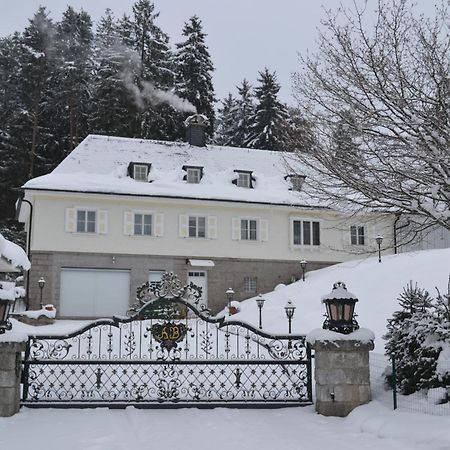 Schwarwald Apartment Schluchsee Exteriér fotografie